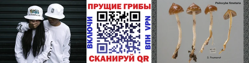 Псилоцибиновые грибы Magic Shrooms Болохово